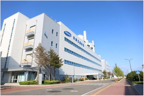 參展商變投資商 進(jìn)博會(huì)見證三星產(chǎn)業(yè)升級(jí)與五金交電轉(zhuǎn)型