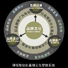 企業(yè)品牌維護(hù)戰(zhàn)略 構(gòu)建持久品牌價(jià)值的關(guān)鍵