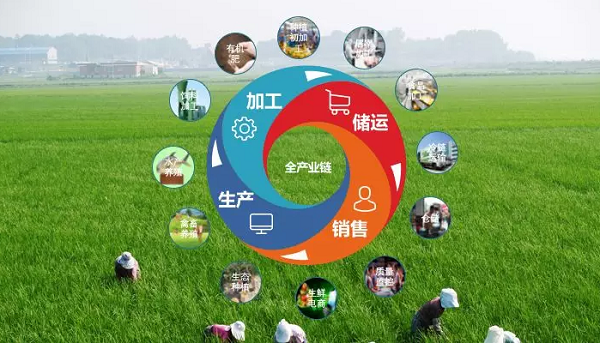 惠農(nóng)網(wǎng)杰哥:農(nóng)產(chǎn)品品牌歸根結(jié)底就是產(chǎn)業(yè)鏈品牌